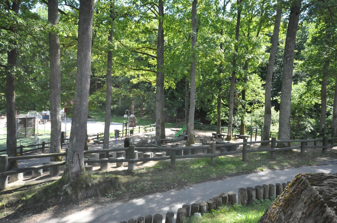 Pokoje Hotelowe Nad Jeziorem Jelen ビトゥフ エクステリア 写真